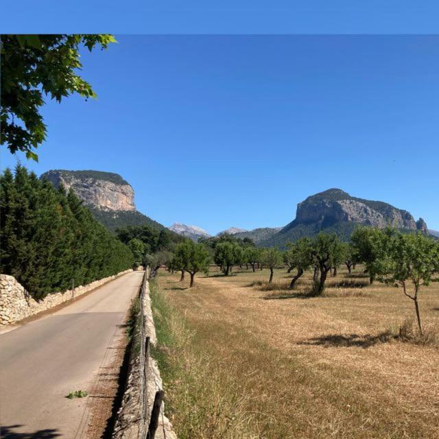 Sa Sort De Can Moix Аларо Екстер'єр фото
